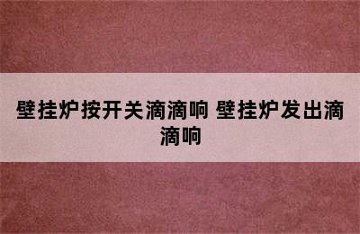 壁挂炉按开关滴滴响 壁挂炉发出滴滴响